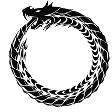 https://encrypted-tbn0.gstatic.com/images?q=tbn:ANd9GcS5djzQPXOtfuFJKj7NogdZxbBiuG4jelZWY0Nl_51pC22WHYho1Q