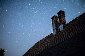 How Long For A Bird Stuck In Chimney To Die And How To Help Born For Pets