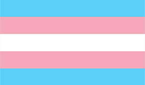 Image result for queer flags