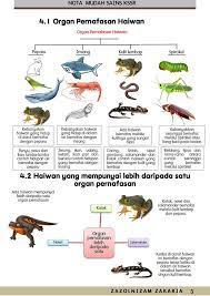 Kebanyakan haiwan akuatik bernafas melalui insang (gill). Topik Yang Belum Keluar Smart Mind Home Centre Muar Facebook