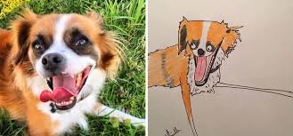 Australia's leading custom pet portrait company oh barney. Artist Raises Thousands For Charity With Hilarious Pet Portraits