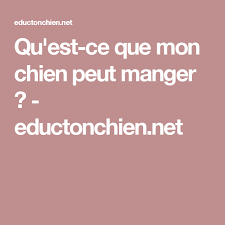 Qu Est Ce Que Mon Chien Peut Manger Eductonchien Net Recettes Pour Chien Chien Sante Animale