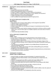 Here Some Writing Tips And Examples Of Human Resources Resume Resume Examples Project Manager Resume Engineering Resume