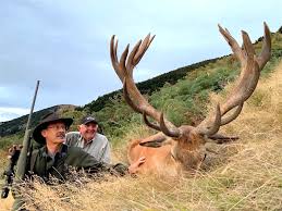 6.5 Creedmoor For Moose | Page 5 | Long Range Hunting Forum