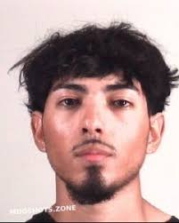 Tarrant County Mugshots Zone