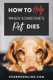 Losing a pet such as pet's name can leave a hole in your heart and a void in your life. What To Do When Someone Loses A Pet Urns Online