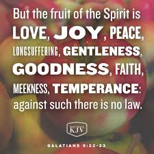 Pin On Fruit Of The Spirit