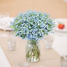 We did not find results for: Buy Hantajanss 12 Pcs Baby Breath Gypsophila Artificial Flowers Bouquets Fake Real Touch Flowers For Wedding Party Decoration Diy Home Decor 21 Blue Online In Turkey B07kq4xgwy