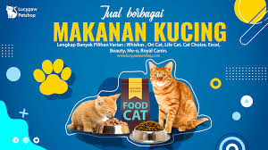 Sebenarnya makanan kucing royal canin tidak tidak. Jual Makanan Kucing Terbaik Harga Murah Di Haurgeulis Indramayu Lucy Paw Petshop Terlengkap Di Haurgeulis Indramayu