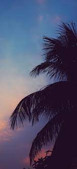 Confessing previously to my winter wallpaper obsession, this week's picks are in the same genre. Chill Vibes Chill Wallpaper Sky Aesthetic Backgrounds Phone Wallpapers