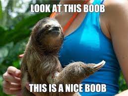 Make a meme make a gif make a chart popular memes. Pin On Sloth Meme
