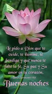 Pin En Jardines Y Flores