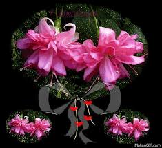 Beautiful day sunset rose reflections glitter graphic, greeting, comment, meme or gif. Good Morning Flowers On Make A Gif