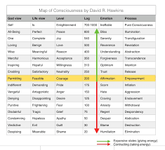 Levels Of Conciousness The Leaping Koala