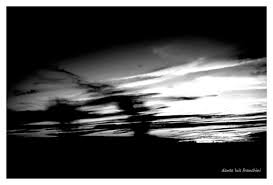 Dante Luis Franchini