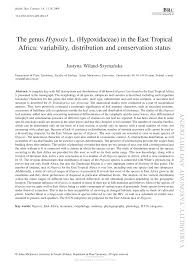 Image result for Hypoxis kilimanjarica