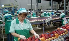 Trova sul motore di ricerca careerjet tutte le offerte di lavoro per settore alimentare nelle marche pubblicate su tutti i siti di annunci di lavoro. Addetti Al Confezionamento Alimentare Posizioni Aperte Per 10 Collaboratori Scoprilavoro It