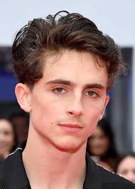 Brown Hair Timothee Chalamet Boys Short Haircuts Green Eyes Black Jacket In 2020 Boys Haircuts Cool Hairstyles Popular Boys Haircuts