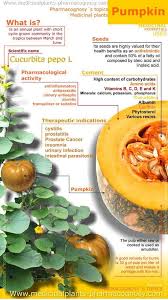 1.22 do cats like pumpkin. 13 Beneficial Fact About Can Cats Eat Pumpkin Is Pumpkin Good For Cats
