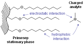 Preparation Of Mixed-Mode Stationary Phase For Separation Of Peptides And  Proteins In High Performance Liquid Chromatography | Scientific Reports