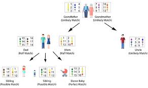 Who Can Use Umbilical Cord Blood Cryo Cell