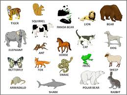 In this exciting video learn about different kinds of. Pictures Of Wild Animals With Their Names Wild Animals Pictures Farm Animals Pictures Animals Name With Picture