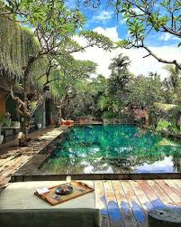 See 224 unbiased reviews of busy bee, rated 4.5 of 5 on tripadvisor and ranked #2 of 41 restaurants in live oak. 25 Natural Swimming Pool Designs For Your Small Backyard Homemydesign Pool Landscaping Dream Pools Swimming Pool Designs