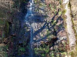 Wikiloc | Ruta Cascada Oinaska, Mirador de Elizondo y Iglesia de Santa Cruz  desde Elizondo