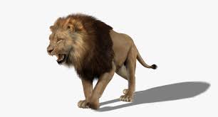 Pin On 3d Animals
