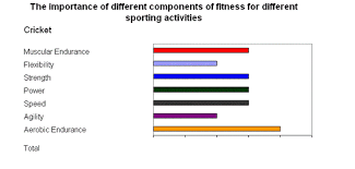 fitness ponents in sport