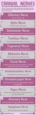 The Cranial Nerve Assessment For Nurses | Health And Willness