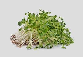 Alfalfa leaf is sometimes used to support healthy lactation in women, due to its high nutritional profile. Alfalfa In Pregnancy And During Breastfeeding Benefits Side Effects