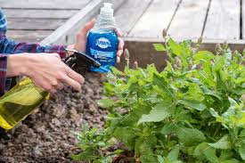 7 easy solutions for getting rid of aphids. 24 Dawn Dish Soap Uses That Will Make Your Life Easier The Krazy Coupon Lady