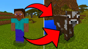 Check spelling or type a new query. How To Turn Into Any Mob In Minecraft Pocket Edition Without Mods Youtube