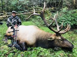 It is the largest of the four surviving subspecies of elk (cervus canadensis) in north america by body mass, although by antler size, both the boone and crockett (rifle). British Columbia Roosevelt Elk Hunt Archery Quality Hunts
