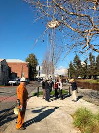 Places petaluma, california sports & recreation citizens against bathtubs on stilts on water just wanted to let you all know that tonight, petaluma mayor teresa barrett, and council members. Story Pole Event A Fine Balance For Petaluma S First Public Art Installation A First Look At The Proposed And Much Debated Bathtubs On Stilts Southern Sonoma Country Life