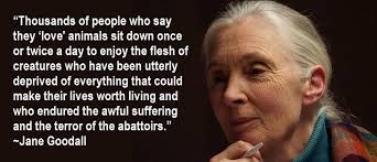 Jane goodall, Jane goodall quotes, Vegan quotes