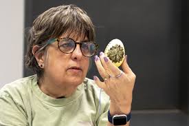 Easter 2022: What are Ukrainian pysanky eggs?