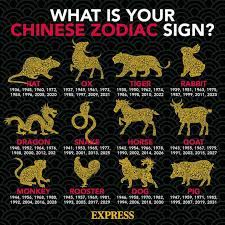 Year of the metal ox every year in the chinese calendar, we have a chance to experience one of the 12 animals of the zodiac as the leader of the year. Rabbit 2021 Zodiac Horoscope What Your Chinese Zodiac Sign Means For You This Year Express Co Uk