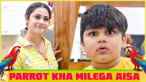 Parrot Kha Milega Aisa || Chiku Malik Vlogs @armaanmalik2154