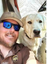 I deliver insulin to these rotties every week. Beautiful sight to a see 👀