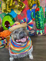 We take our job very seriously and will do whatever it. Happy Tails Pet Grooming Pet Boarding Marshalltown Iowa