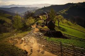 Imagini spectaculoase cu transilvania în, poate, cel mai frumos clip dedicat acestei zone. 20 De Imagini Care Ne AratÄ Cat De FrumoasÄ Este Romania
