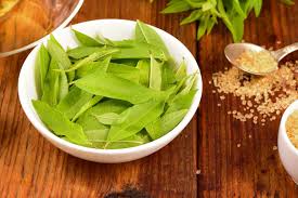 Lemon verbena, aloysia triphylla supports for antispasmodic, sedative, antipyretic, stomachic, carminative and febrifuge activity. Lemon Verbena Extract Could Help Improve Horse Health Welfare The Horse