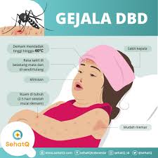 Nyeri di perut atau sekitar ulu hati. Gejala Dbd Dan Cirinya Dari Tiap Tingkat Derajat