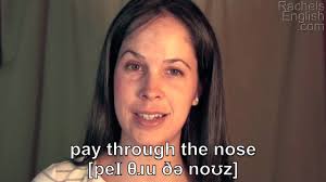 The Challenge of Learning US English: Today's Idiom