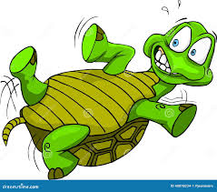 images?q=tbn:ANd9GcS5eQTejy5WV0kgt9lCvZZ