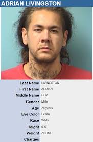 From Stearns County Most Wanted: Adrian Guy Livingston, 28 Wanted