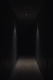 Dark Pathway Lit With Small Light Fixture Dark Background Wallpaper Scary Wallpaper Dark Wallpaper