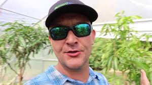 Check spelling or type a new query. Best Organic Fertilizer Our 3 Part Recipe For Fruit Trees Youtube
